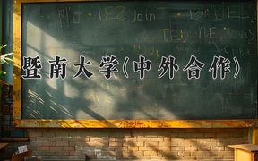 2024暨南大学(中外合作)录取分数线：四川最低604分