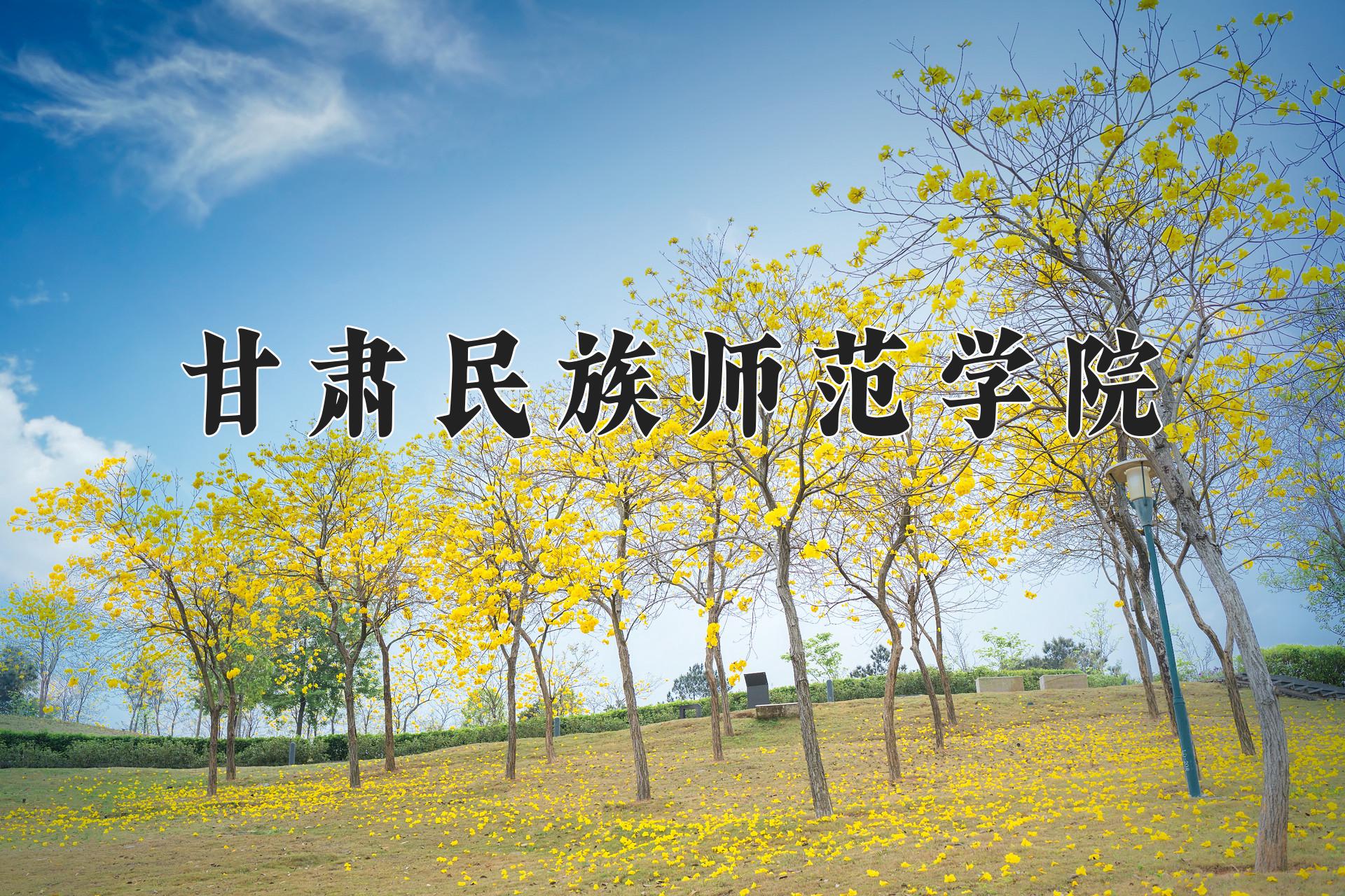 甘肃民族师范学院