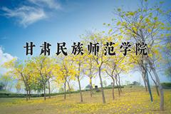 2024甘肃民族师范学院录取分数线：四川最低501分