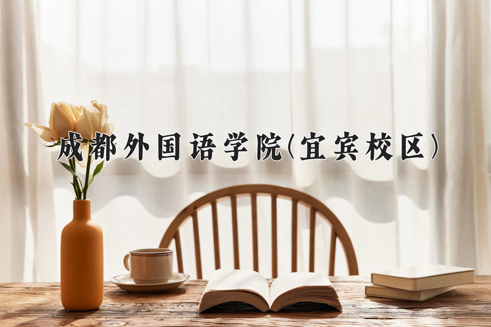 成都外国语学院(宜宾校区)
