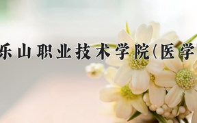 2024乐山职业技术学院(医学)录取分数线：四川最低459分