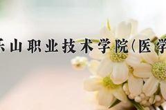 2024乐山职业技术学院(医学)录取分数线：四川最低459分