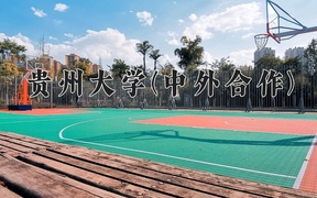 2024贵州大学(中外合作)录取分数线：四川最低541分