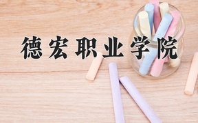 2024德宏职业学院录取分数线：四川最低429分