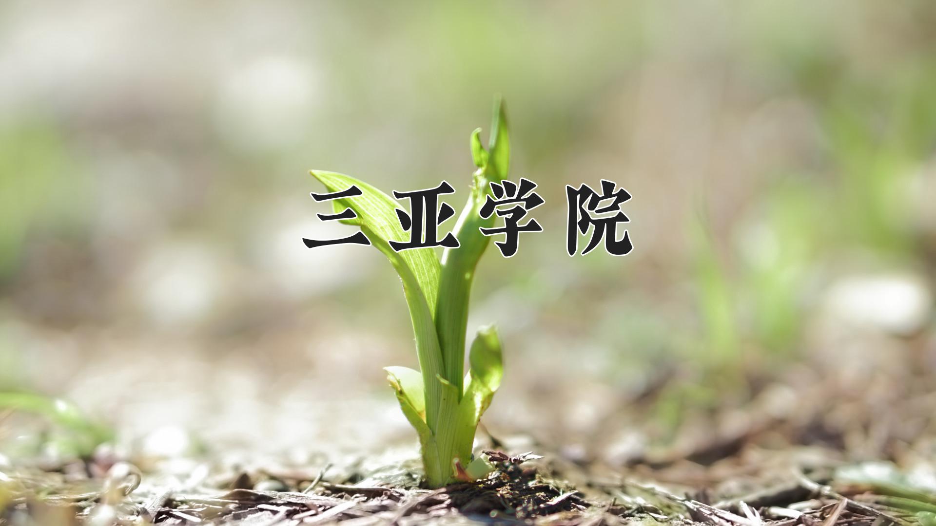 三亚学院