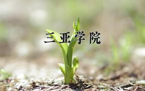 2024三亚学院录取分数线：四川最低461分
