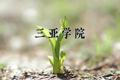 2024三亚学院录取分数线：四川最低461分