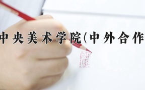 2024中央美术学院(中外合作)录取分数线：四川最低548分