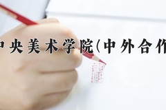 2024中央美术学院(中外合作)录取分数线：四川最低548分