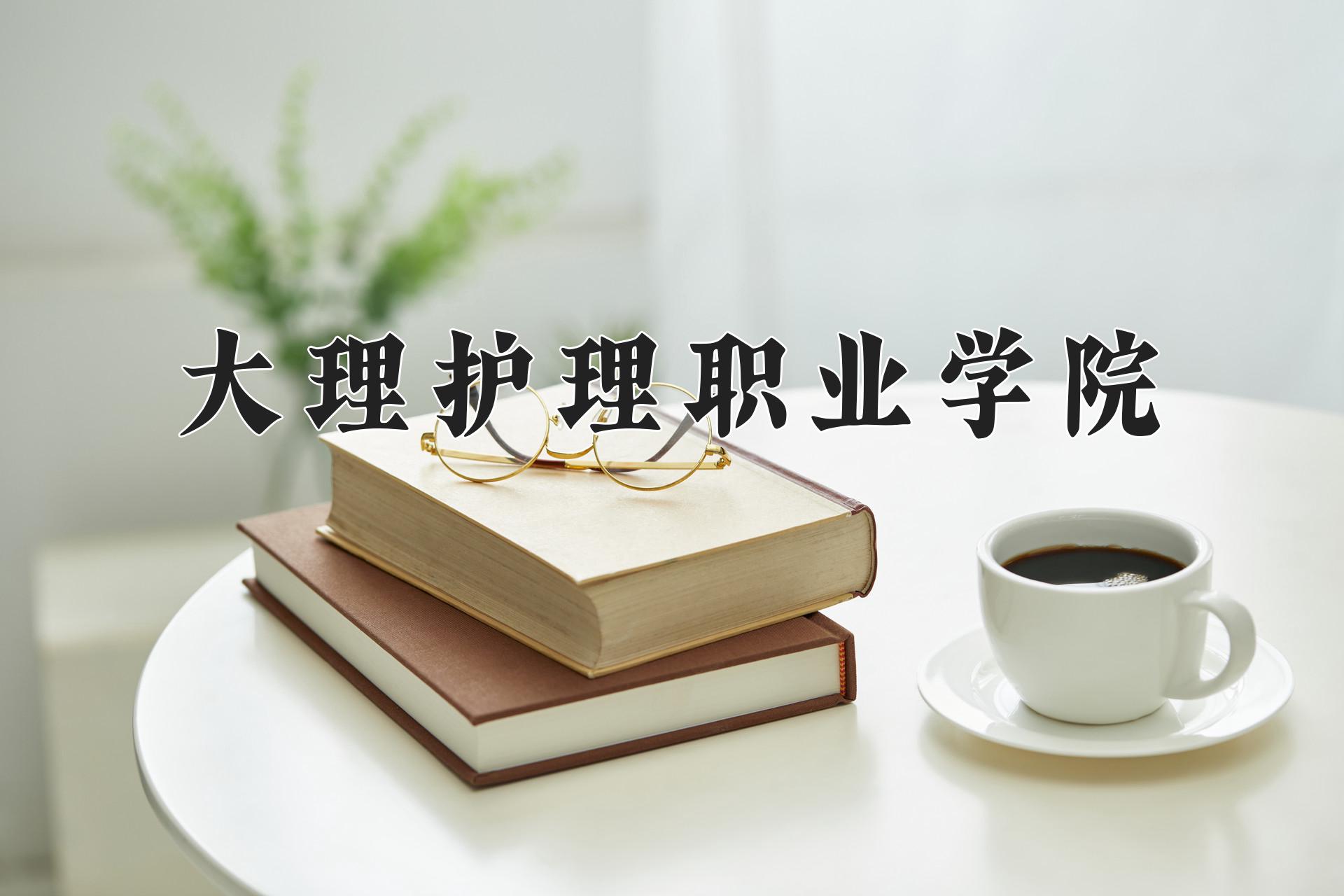 大理护理职业学院