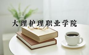 2024大理护理职业学院录取分数线：四川最低420分