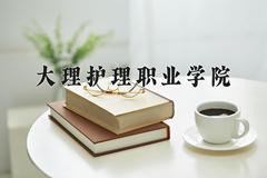 2024大理护理职业学院录取分数线：四川最低420分