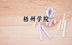 2024梧州学院录取分数线：四川最低501分