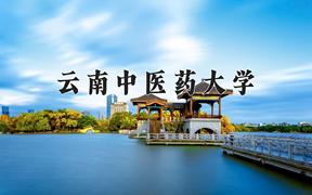 2024云南中医药大学录取分数线：四川最低515分