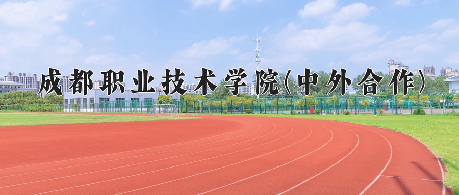成都职业技术学院(中外合作)