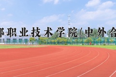 2024成都职业技术学院(中外合作)录取分数线：四川最低413分