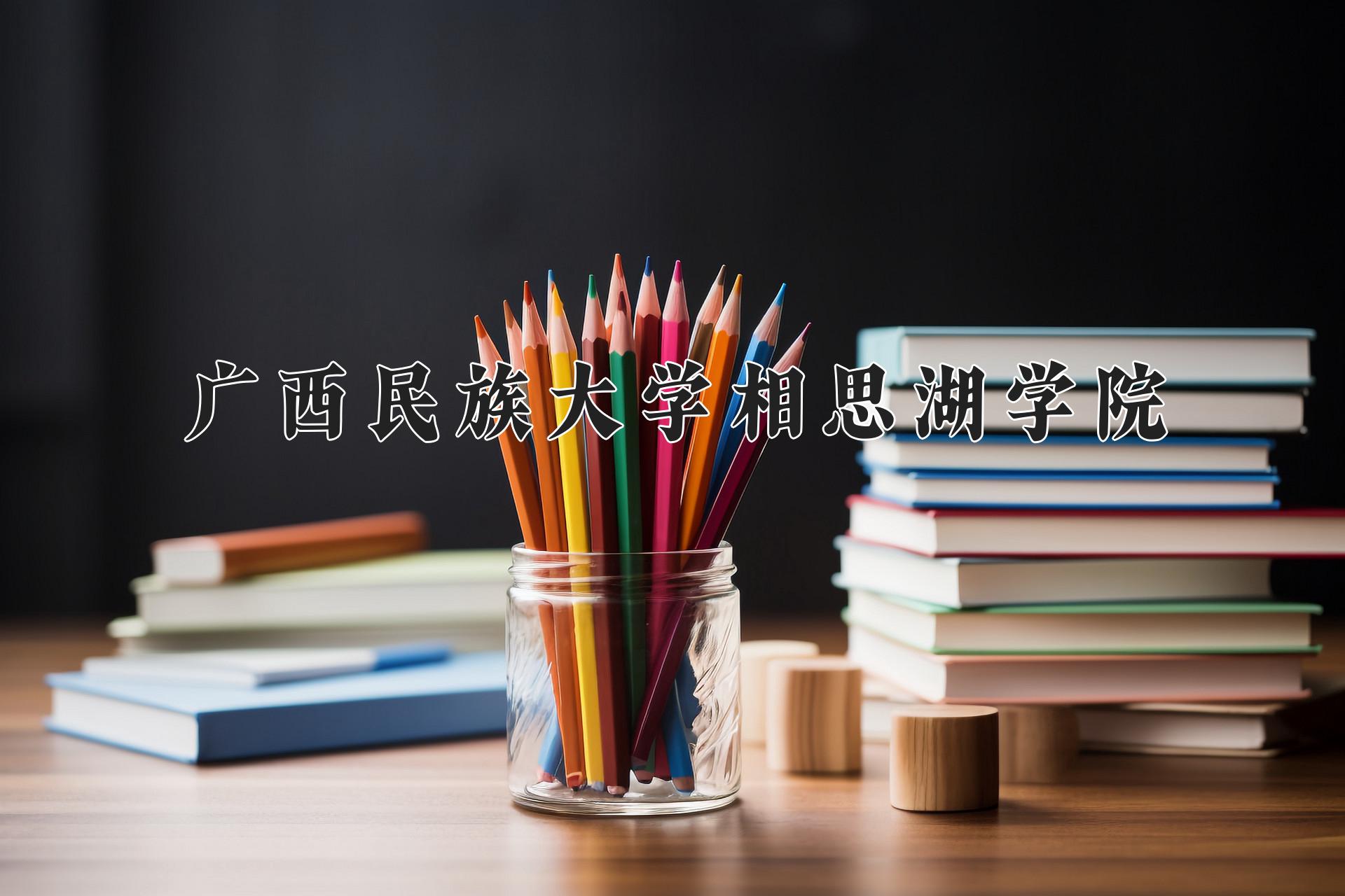 广西民族大学相思湖学院