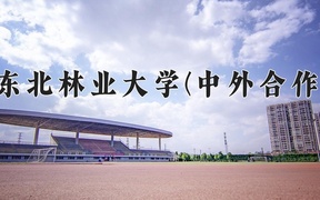 2024东北林业大学(中外合作)录取分数线：四川最低550分