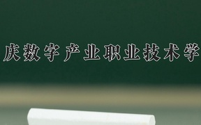 2024重庆数字产业职业技术学院录取分数线：四川最低199分