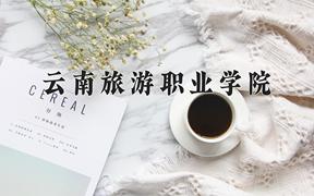 2024云南旅游职业学院录取分数线：四川最低403分