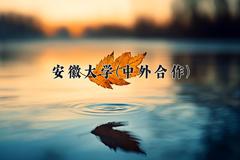 2024安徽大学(中外合作)录取分数线：四川最低593分