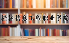 2024桂林信息工程职业学院录取分数线：四川最低213分