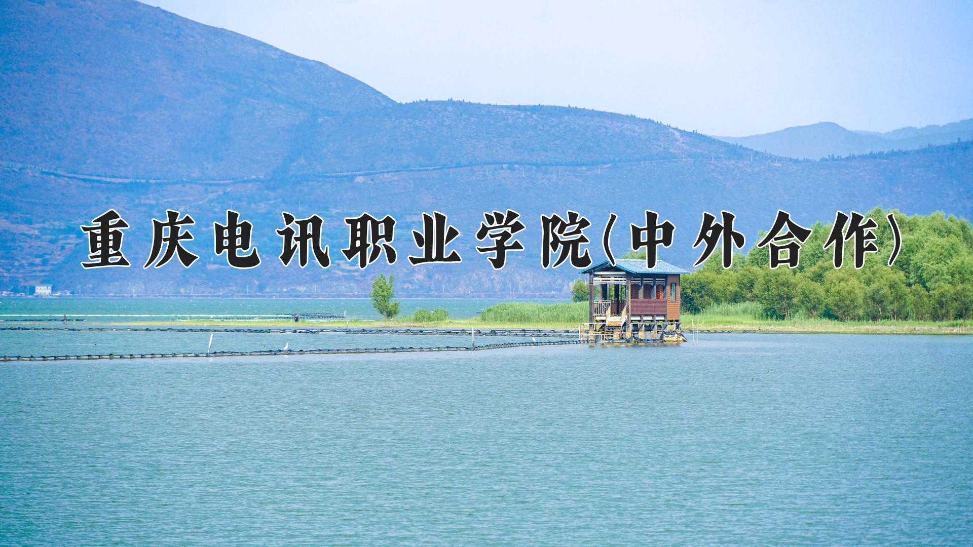 重庆电讯职业学院(中外合作)