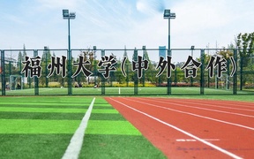 2024福州大学(中外合作)录取分数线：四川最低607分