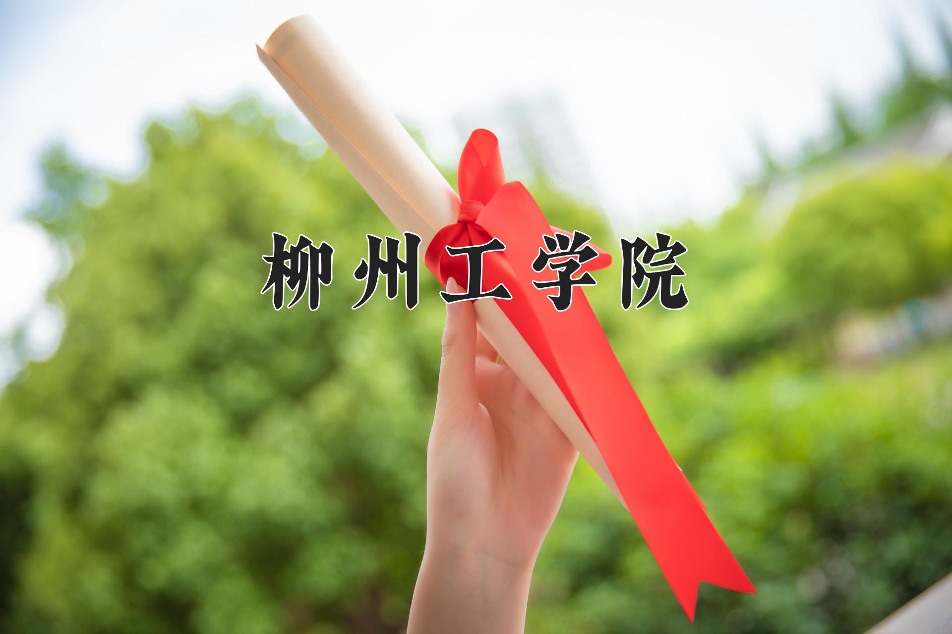 柳州工学院近三年录取分数线及位次：四川2022-2024最低分
