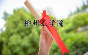 柳州工学院近三年录取分数线及位次：四川2022-2024最低分