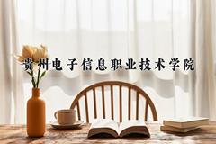 贵州电子信息职业技术学院近三年录取分数线及位次：四川2022-2024最低分