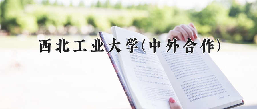 西北工业大学(中外合作)近三年录取分数线及位次:四川2022-2024最低分