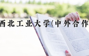 西北工业大学(中外合作)近三年录取分数线及位次：四川2022-2024最低分