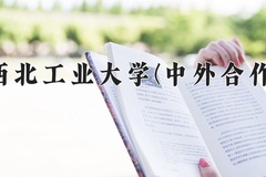 西北工业大学(中外合作)近三年录取分数线及位次：四川2022-2024最低分