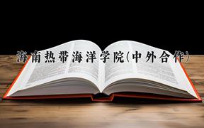 海南热带海洋学院(中外合作)近三年录取分数线及位次：四川2022-2024最低分