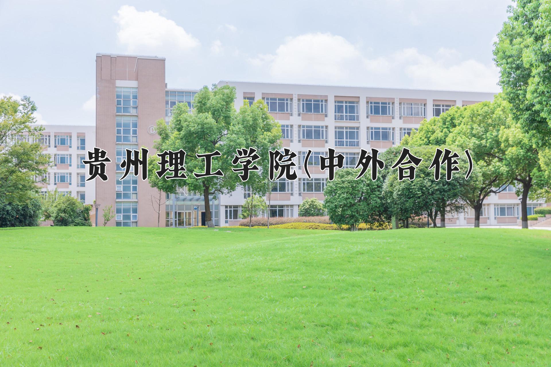 贵州理工学院(中外合作)近三年录取分数线及位次:四川2022-2024最低分