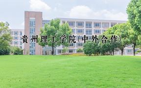贵州理工学院(中外合作)近三年录取分数线及位次：四川2022-2024最低分