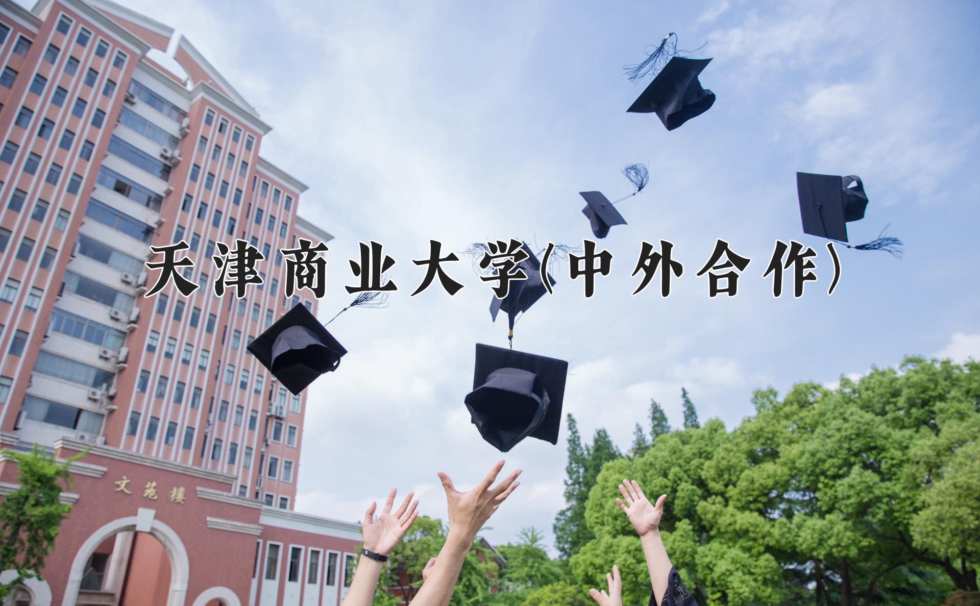 天津商业大学(中外合作)近三年录取分数线及位次:四川2022-2024最低分