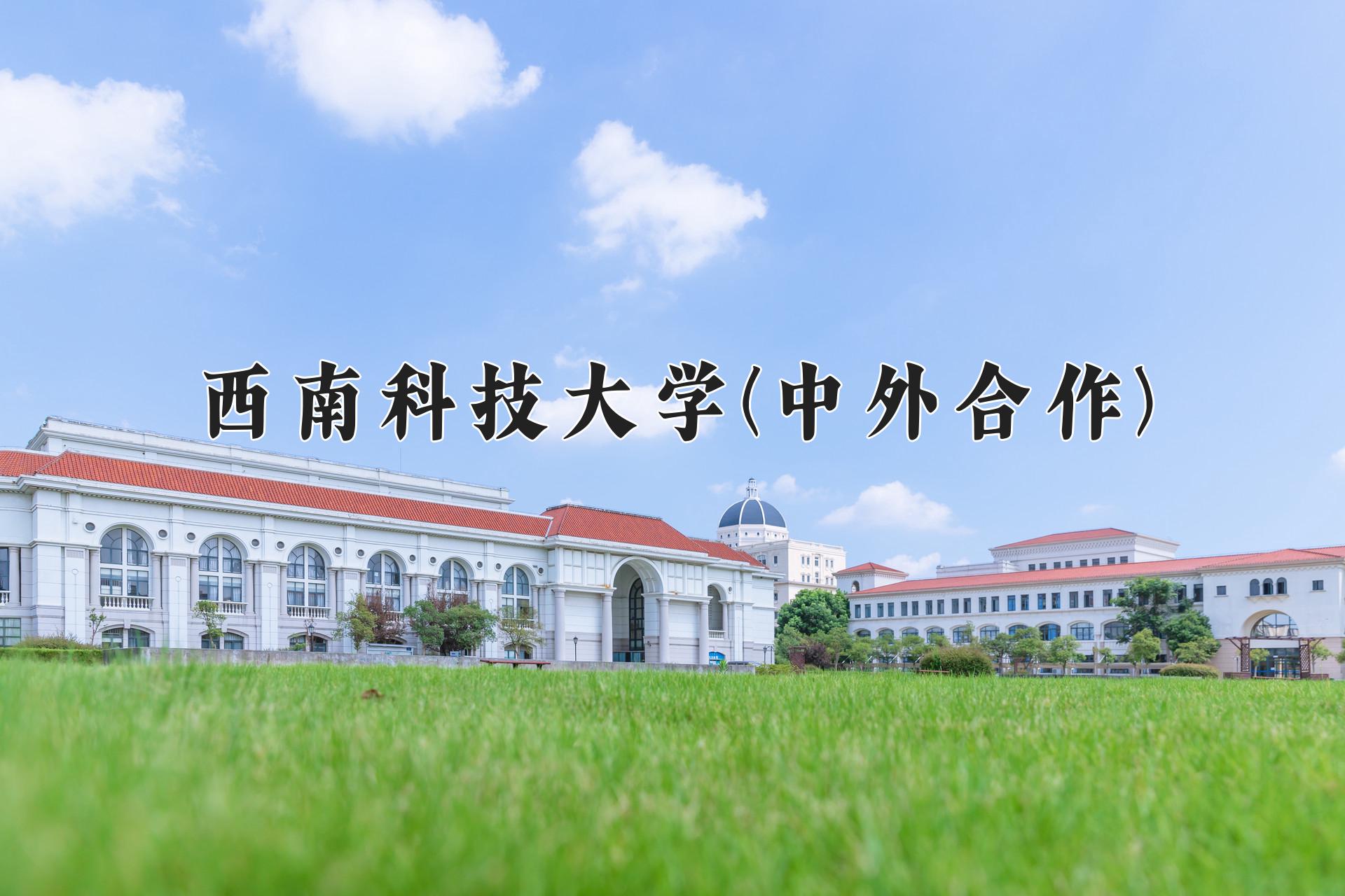 西南科技大学(中外合作)近三年录取分数线及位次：四川2022-2024最低分