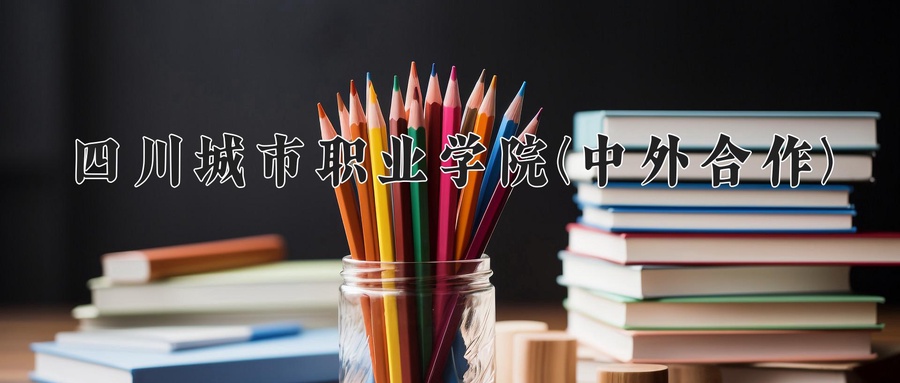 四川城市职业学院(中外合作)近三年录取分数线及位次:四川2022-2024最低分