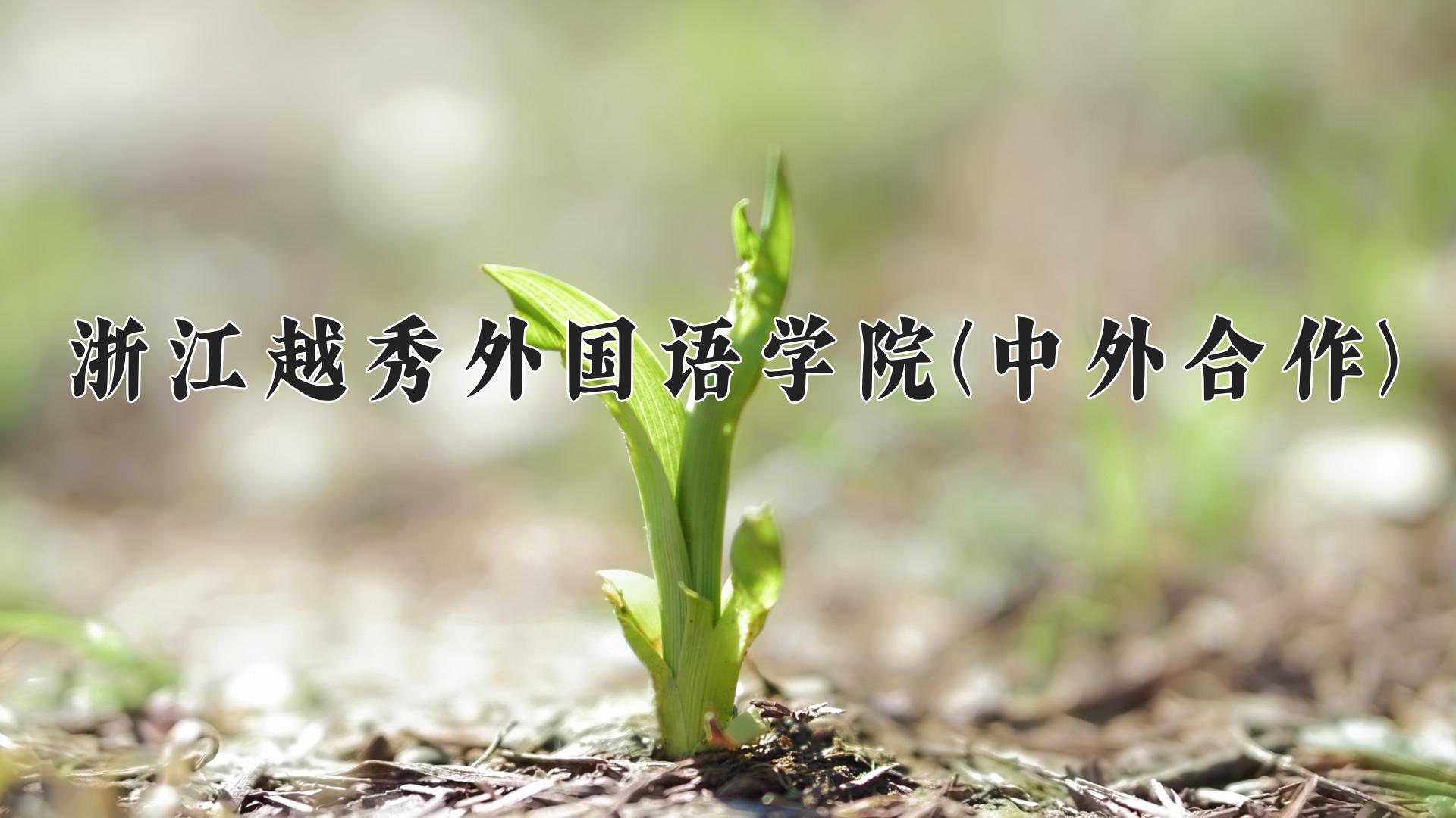 浙江越秀外国语学院(中外合作)近三年录取分数线及位次:四川2022-2024最低分