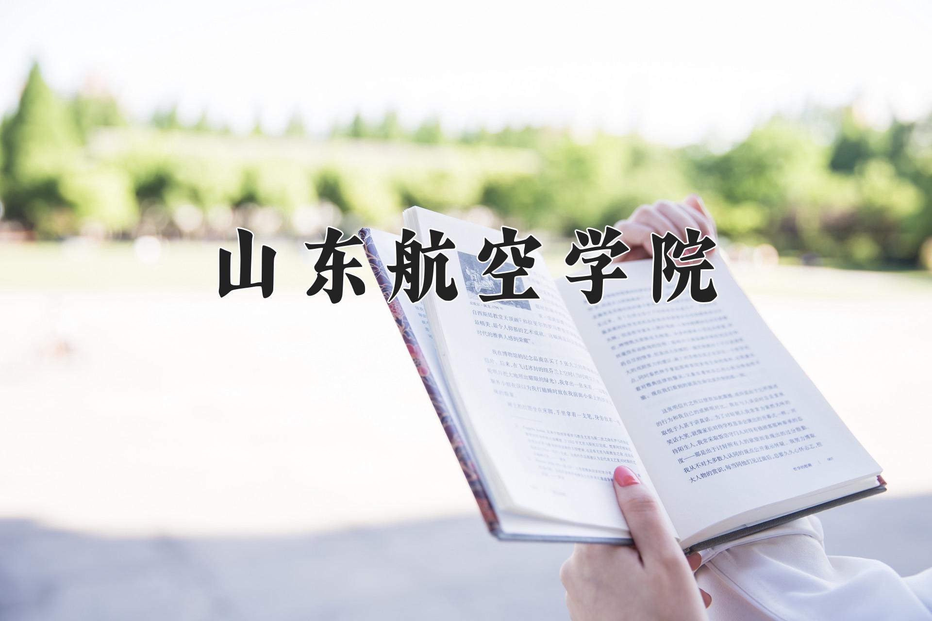 山东航空学院近三年录取分数线及位次:四川2022-2024最低分
