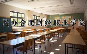 民办合肥财经职业学院近三年录取分数线及位次：四川2022-2024最低分