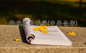 北方工业大学(中外合作)近三年录取分数线及位次：四川2022-2024最低分