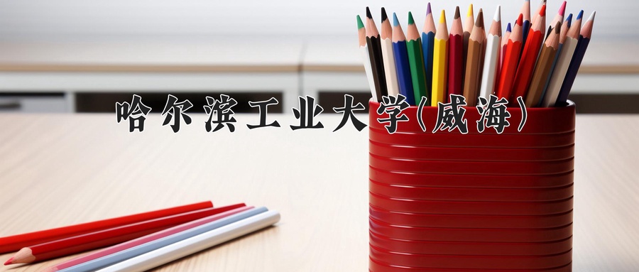 哈尔滨工业大学(威海)近三年录取分数线及位次:四川2022-2024最低分