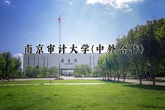 南京审计大学(中外合作)近三年录取分数线及位次：四川2022-2024最低分