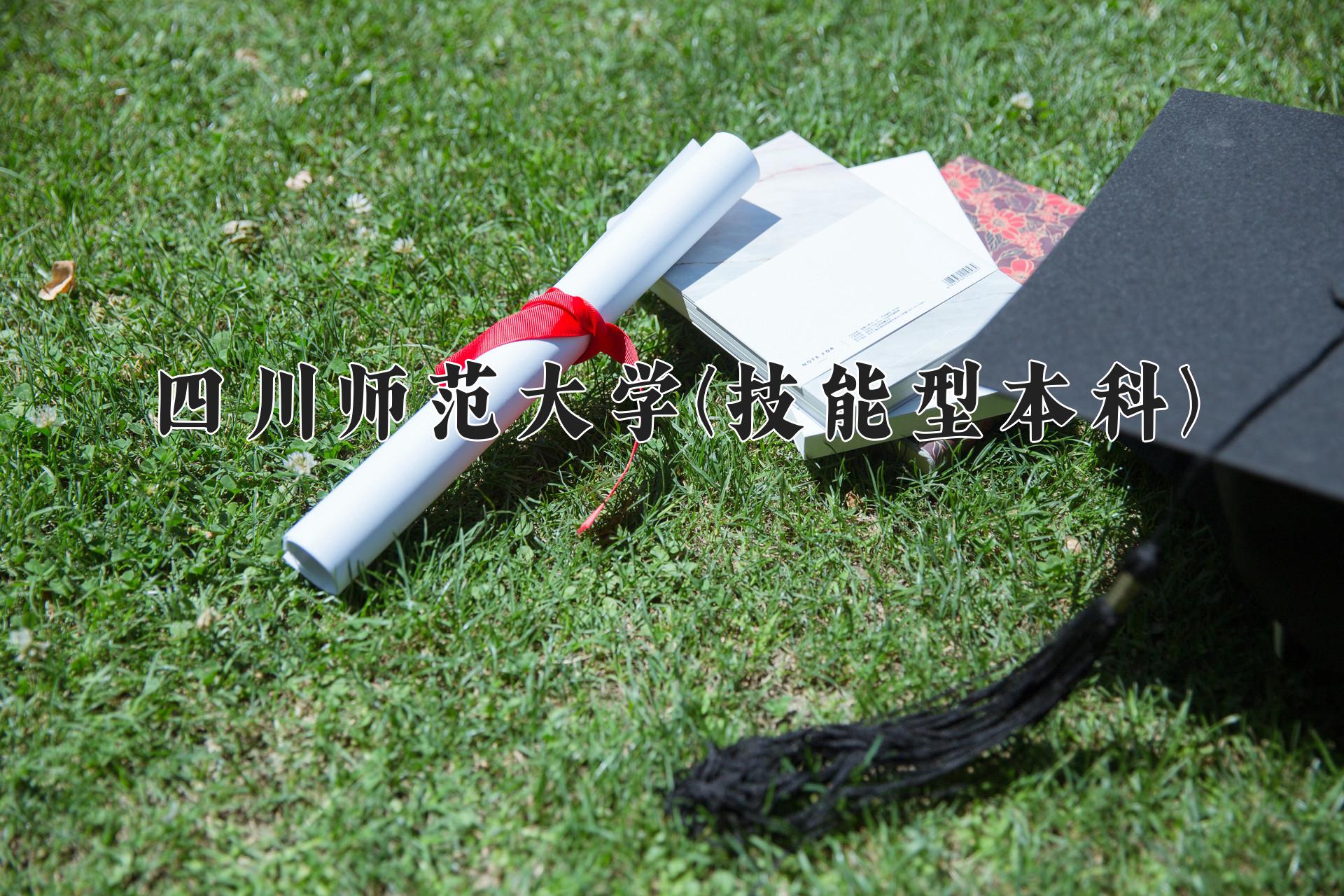 四川师范大学(技能型本科)近三年录取分数线及位次：四川2022-2024最低分