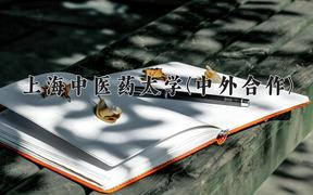 上海中医药大学(中外合作)近三年录取分数线及位次：四川2022-2024最低分