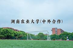 湖南农业大学(中外合作)近三年录取分数线及位次：四川2022-2024最低分