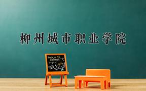 柳州城市职业学院近三年录取分数线及位次：四川2022-2024最低分